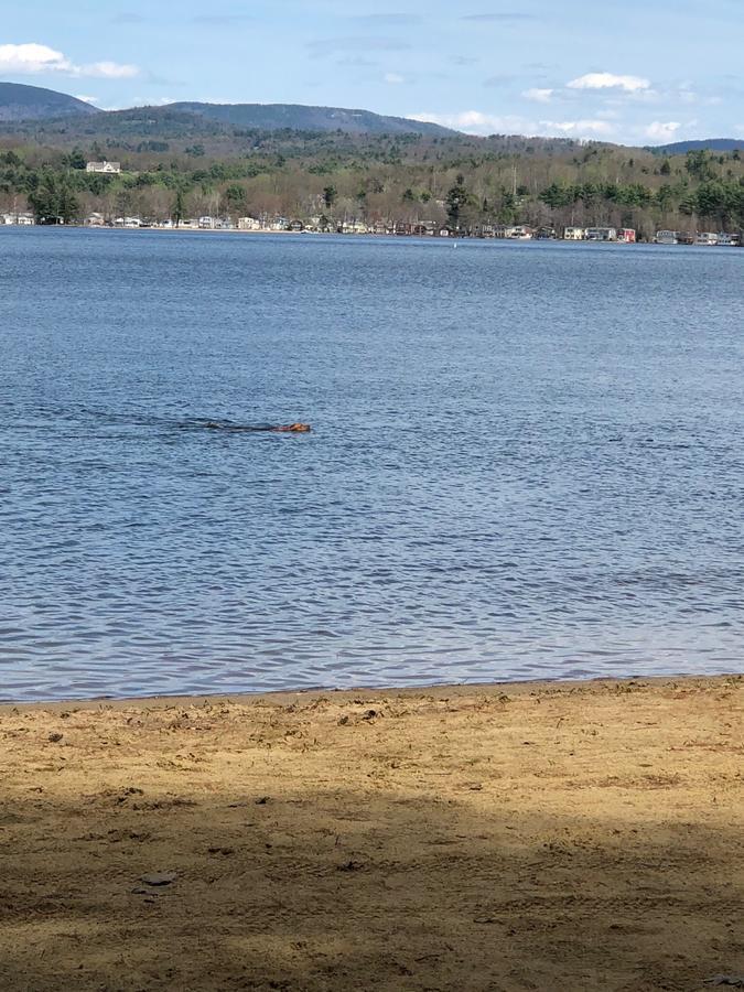 Anchorage At The Lake Tilton Εξωτερικό φωτογραφία